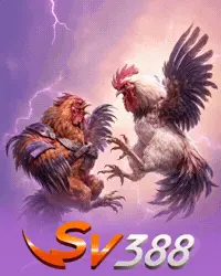 SV388